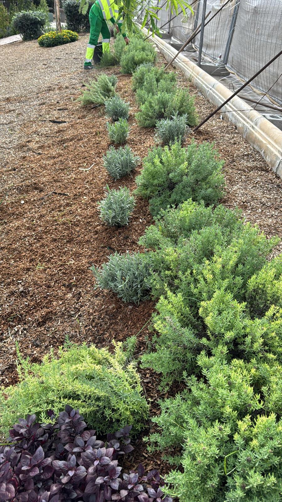 Terrace Construction - Meraki Urban